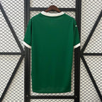 Palmeiras 2025-2026 home image 2