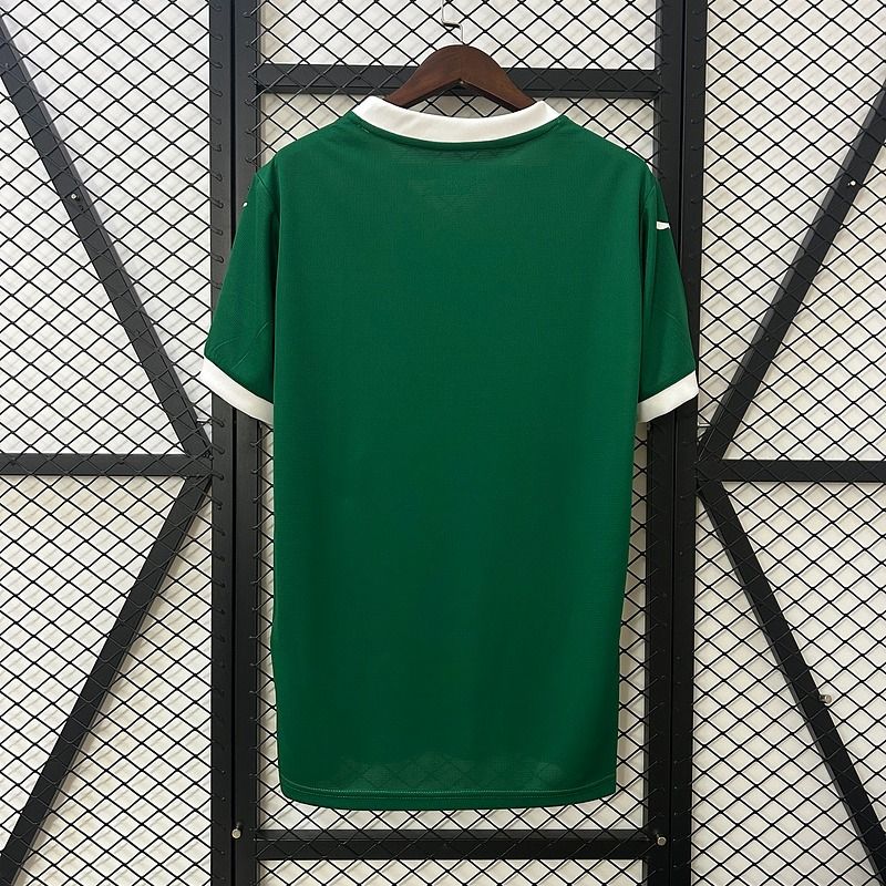 Palmeiras 2025-2026 home image 2