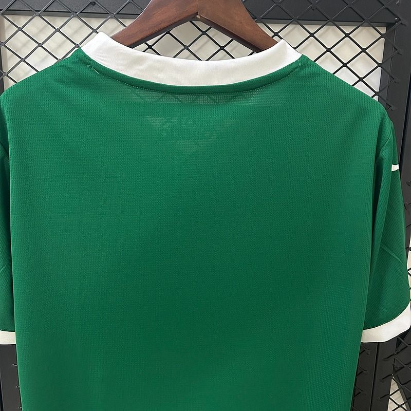 Palmeiras 2025-2026 home image 4