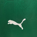 Palmeiras 2025-2026 home image 6