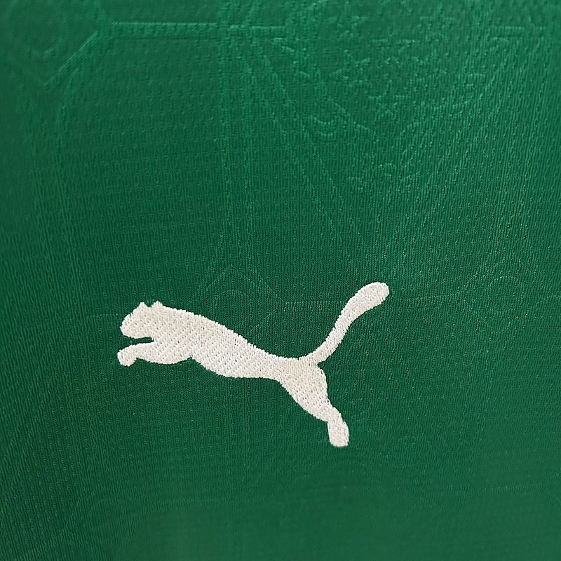 Palmeiras 2025-2026 home image 6