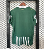Palmeiras 2025-2026 special edition image 2