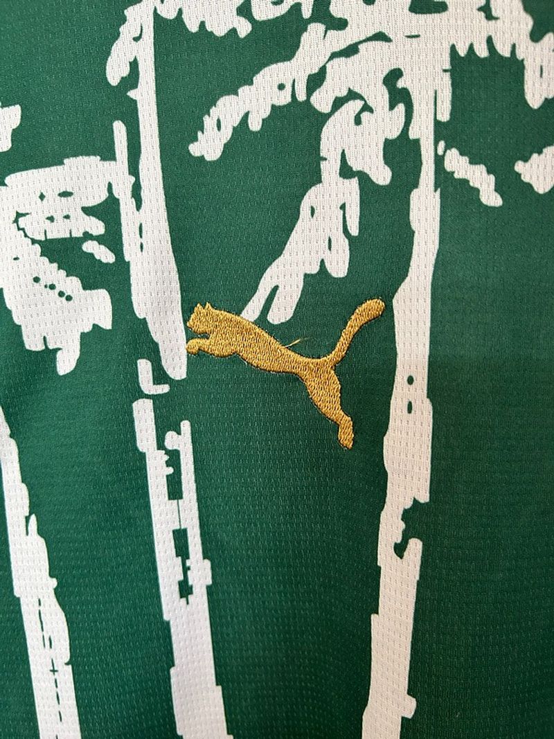 Palmeiras 2025-2026 special edition image 5