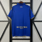 Real Oviedo 2025-2026 home image 2