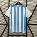Retro Argentina national 2014 home image 2