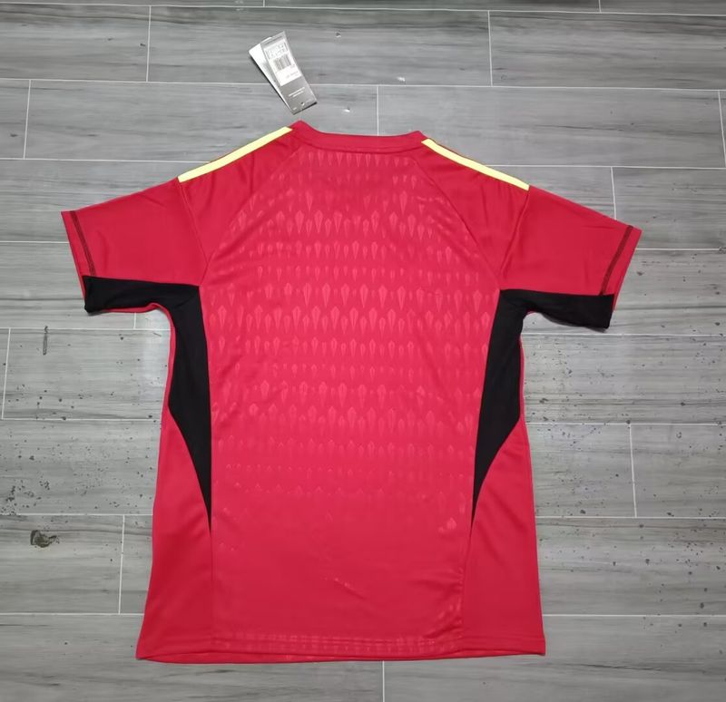 Retro Argentina national 2022 Goalkeeper 2stars red image 2