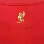 Retro Liverpool FC 2008-2009 home image 8