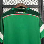 Retro Mexico national 2014 home image 4