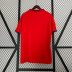 Retro Spain national 2010 home image 2