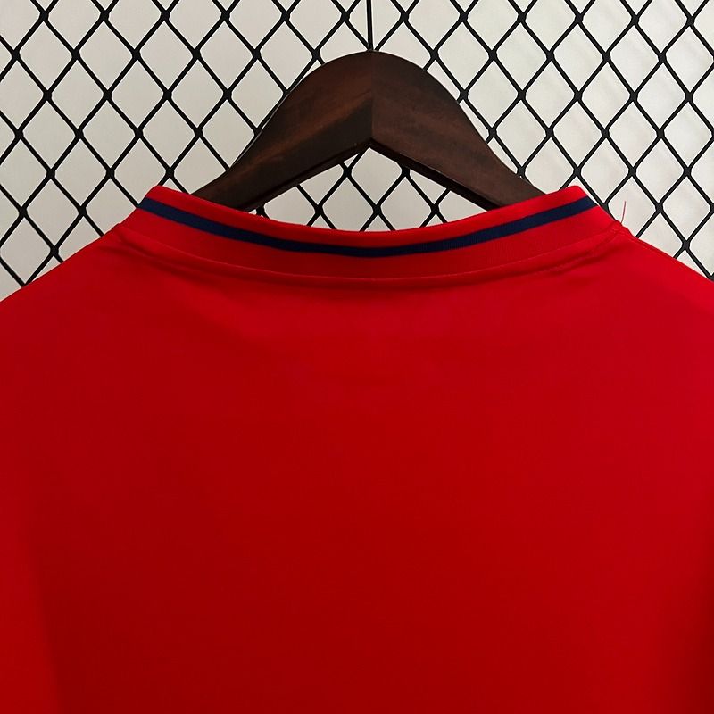 Retro Spain national 2010 home image 4