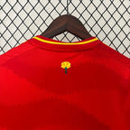 Spain national 2024 home image 4