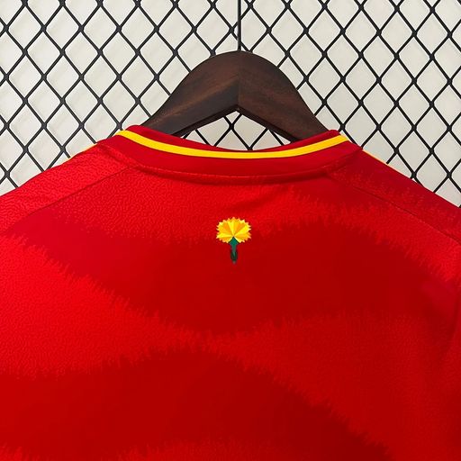 Spain national 2024 home image 4