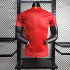 Spain national 2024 home player image 2
