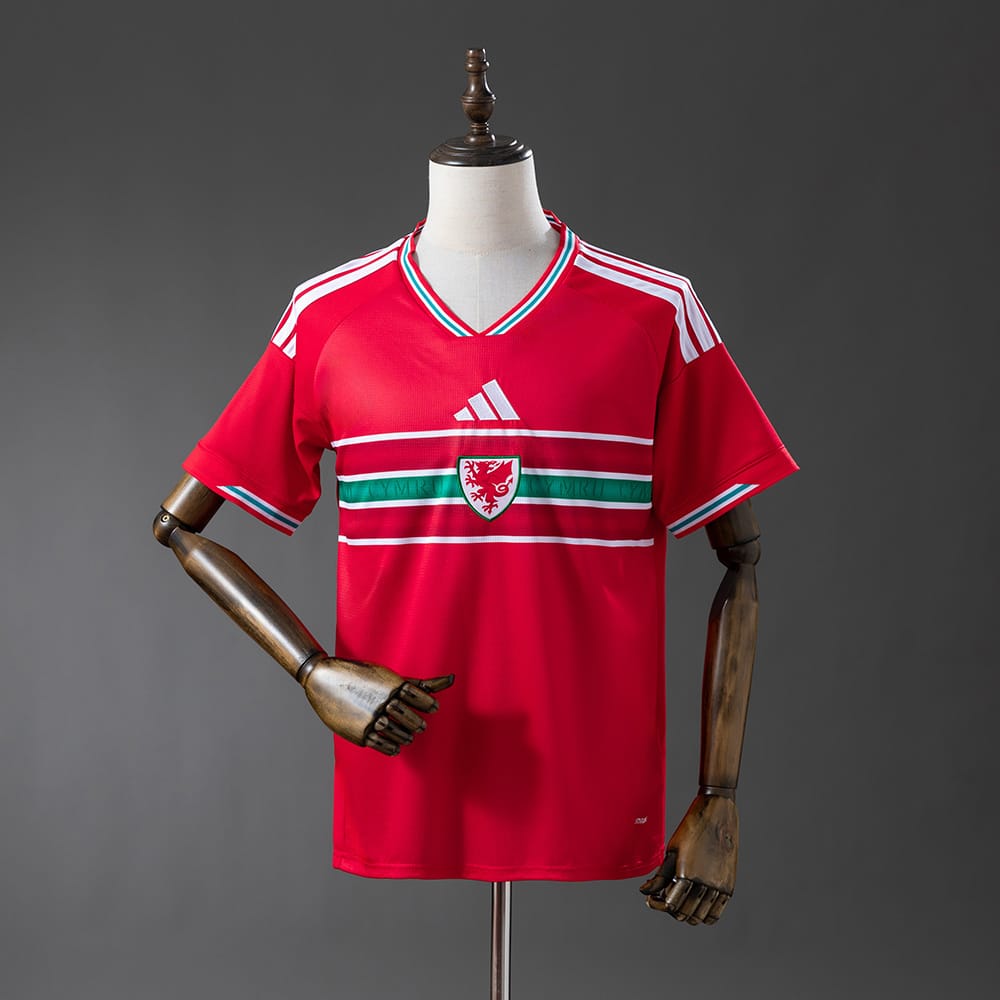 Wales national 2026 Home Fan