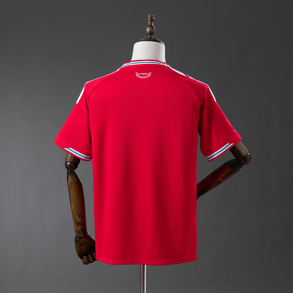 Wales national 2026 Home Fan image 2