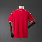 Wales national 2026 Home Fan image 2